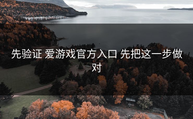 先验证 爱游戏官方入口 先把这一步做对 先验证 爱游戏官方入口 先把这一步做对