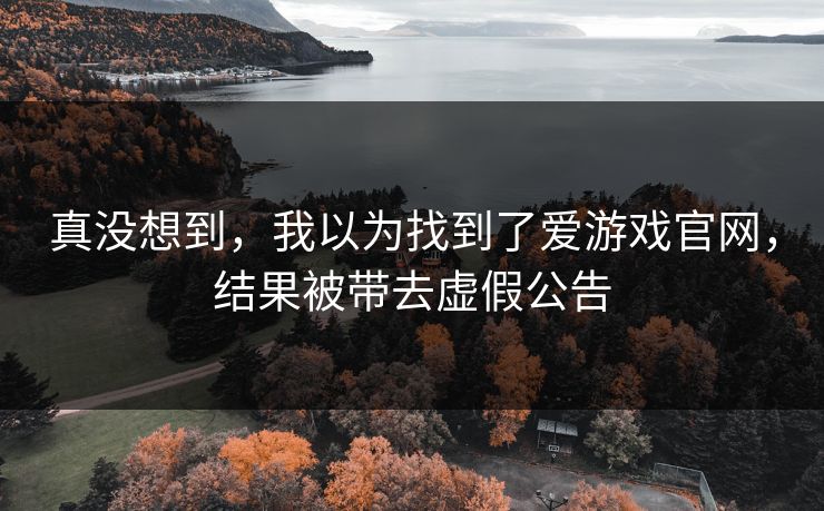 真没想到，我以为找到了爱游戏官网，结果被带去虚假公告
